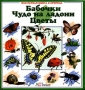 Бабочки Чудо на ладони Цветы Серия: Моя первая книга о природе инфо 1685c.