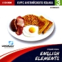 English Elements Курс английского языка Средний уровень Серия: English Elements инфо 5595h.